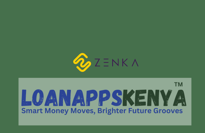 Zenka Loan App